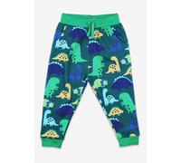 Toby Tiger Organic Tonal Dinosaur Print Joggers - 2-3y / 98cm