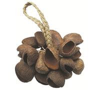 TOCA Seed Shell Shaker T-SS, Brown