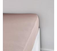 TODAY Essential Fitted Sheet 90 x 190 cm Jersey 100% Cotton Plain