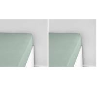 TODAY Essential Fitted Sheet 90 x 190 cm Jersey 100% Cotton Plain (Pack of 2)