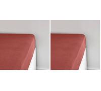 TODAY Essential Jersey Fitted Sheet 90 x 190 cm 100% Cotton Plain, Terracotta (Pack of 2)