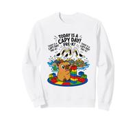 Today Is A Capy Day Funny Capybara Pun Seagull Scream Pre K Sweatshirt