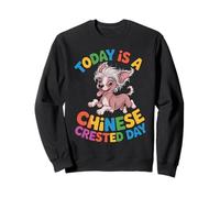 Today is a Chinese Crested Day Cartoon Pet Breed Puff Dog Sweatshirt