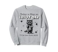 Today is an idiot day funny raccoon gift Sweatshirt