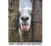 TODAY'S ANSWER TO YOUR QUESTIONS!: Composition Notebook with wide-ruled pages, 8.5x11 inches 120 pages about notes, school, or office...for kids, ... or work, home or office, good for all ages