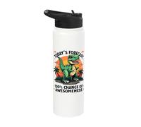 Today's Forecast 100% Chance of Awesomeness Stainless Steel Insulated Water Bottle