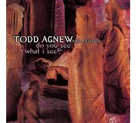 Todd Agnew - Do You See What I See?