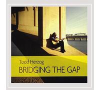 Todd Herzog - Bridging the Gap