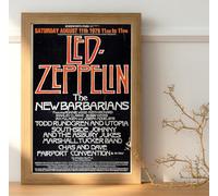 Todd Rundgren Led Zeppelin New Barbarians Knebworth 1979 Concert Tour Live Promo : 36"x24" Poster BRING YOUR WALLS TO LIFE !