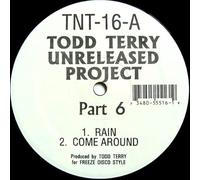 Todd Terry - Todd Terry / Unreleased Project Volume 6