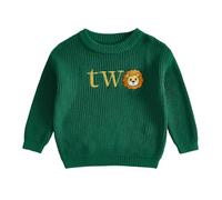 Toddler Baby Boy 1st 2nd Birthday Jumper Oversized Chunky Knitted Sweater Pullover Cute Winter Clothes First Birthday Cake Smash Outfit (Two Lion Dark Green, 2-3 Years)