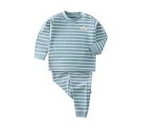 Toddler Baby Boy Clothes Outfits Cotton Long Sleeve Stripe Sweatshirt and Pants 2 Piece Fall Winter Pajamas Set Kids Cotton Soft Underwear Casual Clothes (Blue, 18-24 Months)