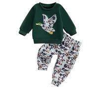 Toddler Baby Boy Fall Winter Outfits 0-4 Years Wild Gosse Embroidery Long Sleeve T-Shirts Sweatshirts Pullover Tops and Elastic Waist Pants 2Pcs Clothes Set for Little Boys (Army Green, 18-24 Months)