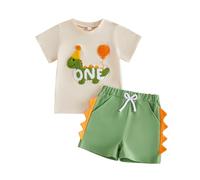 Toddler Baby Boy First 2nd Birthday Outfit Short Sleeve T Shirt Shorts Set | One and Two Year Old Dinosaur Embroidered Summer Clothes