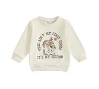 Toddler Baby Boy Girl 2nd Birthday Sweatshirt 2-3 Years Long Sleeve Western Style Horse Letter Print Pullover Tops Fall Winter Shirt Second Birthday Outfit 18-24 Months (Brown, 18-24 Months)