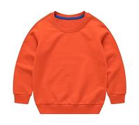 Toddler Baby Boy Girl Clothes Solid Color Crewneck Sweatshirt Long Sleeve Pullover T Shirt Tops Cute Going Out Outfits for Toddler Girls Fall Clothes (Orange, 12-18 Months)