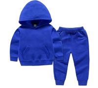 Toddler Baby Boy Girl Outfits Casual Sweatsuit Kids Long Sleeve Hooded Sweatshirt Tops Jogger Pants 2 Piece Clothes Set Children Clothing Sets for Boys and Girls (Blue, 18-24 Months)