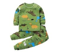 Toddler Baby Boy Outfits Long Sleeve Sweatshirt Pant Set Two piece Fall Winter Home Clothes Casual Sets for Kids o-Neck Long Sleeve Tshirt and Trousers 2pc (Green, 2-3 Years)