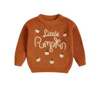 Toddler Baby Boys Girls Halloween Sweater Ghost Spider Oversized Knitted Jumper Long Sleeve Crew Neck Knitwear Pullover Top Kids Winter Warm Outfit (Orange Little Pumpkin, 0-3 Months)