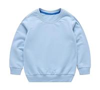 Toddler Baby Boys Girls Long Sleeve Crewneck Pullover Sweatshirt Casual Solid Oversized Cotton Tops Infant Girl Clothes Threaded Neckline Boys (Light Blue, 18-24 Months)