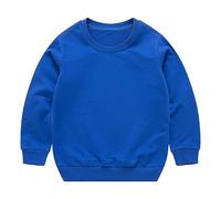 Toddler Baby Boys Girls Long Sleeve Crewneck Pullover Sweatshirt Casual Solid Oversized Cotton Tops Infant Girl Clothes Threaded Neckline Boys (Blue, 18-24 Months)