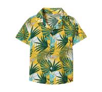 Toddler Baby Boys Hawaiian Shirt Short Sleeve Button Down Tops Basic Tees Beach Shirt Summer Clothes