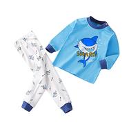Toddler Baby Boys' Pajama Set Long Sleeve Cotton Sleepwear Cartoon Shark Snug Fit Pjs Loungewear Nightwear Boys Cosy Pyjamas (Sky Blue, 2-3 Years)