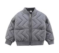 Toddler Baby Boys Winter Coat Thick Puffer Down Jacket Kids Baseball Jacket Varsity Coat Zip up Bomber Jacket Solid Color Long Sleeve Zipper Jacket (Grey, 2-3 Years)