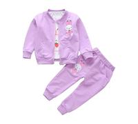 Toddler Baby Girl 3 Piece Clothes Set Infant Long Sleeve Bunny Print T Shirt+Zip Up Jacket Coat+Pant Clothing Set Casual Outfits Children's Casual Sibling Clothing Sets (Purple, 3-4 Years)