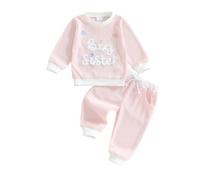 Toddler Baby Girl Matching Sister Outfit Long Sleeve Big Sis Letters Embroidery Sweatshirt Pullover Tops and Elastic Waist Pants 2Pcs Little Girls Sister Clothes (Pink, 12-18 Months)