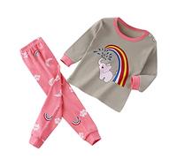 Toddler Baby Girls' 2-Piece Snug Fit Cotton Pajama Set Long Sleeve Sleepwear Cute Elephant Rainbow Loungewear Baby Girl Fall Outfits (Pink, 2-3 Years)