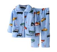 Toddler Baby Girls Boys 2 Piece Outfit Fleece Tracksuit Long Sleeve Sweatshirt Tops Pants Set Kids Flannel Clothing Set Children's Casual Sibling Clothing Sets (Sky Blue, 3 Years)