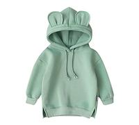 Toddler Baby Kids Boy Girl Hooded 3D Ear Hoodie Sweatshirt Tops Clothes Pant Outfit (Green, 12-18 Months)