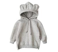 Toddler Baby Kids Boy Girl Hooded 3D Ear Hoodie Sweatshirt Tops Clothes Pant Outfit (Grey, 2-3 Years)
