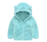 Toddler Boy Girl Fleece Zip up Hoodie Bear Ears Fuzzy Jacket Hooded Teddy Coat Kids Winter Warm Outwear Cardigan (Light blue, 2-3 Years)