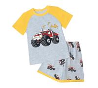 Toddler Boy Summer Clothes Boys Short Sleeved and Shorts Set Comfortable Soft Breathable and Stylish with Cartoon Prints Toddler Boy Summer Clothes (Yellow, 2-3 Years)
