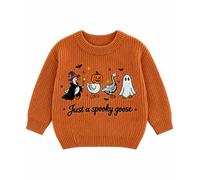 Toddler Boys Halloween Sweater Just A Spooky Goose Long Sleeve Pullover | Crew neck, Cotton, Pumpkin Skull Ghost Goose Embroidery, Chunky Knit Sweatshirt, Fall Winter Warm Clothes
