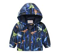 Toddler Boys Jackets Zip Up Windproof Thin Windbreaker Baby Hooded Jackets Long Sleeve Coat Sunscreen Anti-Fog Raincoat Clothes for Kids Spring Autumn Clothes