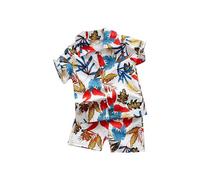 Toddler Boys Lapel Short Sleeve Tropical Botanical Print Set Shirt and Shorts Suit for Boys Outfits Neutral Toddler Clothes (D, 100)