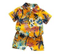 Toddler Boys Lapel Short Sleeve Tropical Botanical Print Set Shirt and Shorts Suit for Boys Outfits Neutral Toddler Clothes (C, 100)