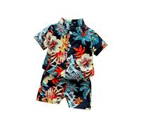 Toddler Boys Lapel Short Sleeve Tropical Botanical Print Set Shirt and Shorts Suit for Boys Outfits Tracks Clothes (Red, 80)