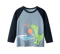 Toddler Boys Long Sleeve Graphic T-Shirt Baby Cotton Basic Tops Dinosaur Shirt Fall Clothes for Kids Under Shirt Color Splice Crewneck Clothes Pingpong T Shirt Boy (A, 3-4 Years)