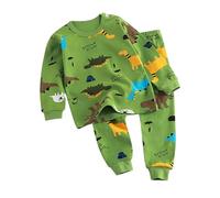 Toddler Boys Striped Dinosaur Pajamas Sets 2 Piece Long Sleeve Cotton Lounge Sleepwear Bedroom Tops Pants Clothes Princess Nighties for Girls Princess Pj (B, 6-12 Months)