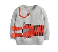 Toddler Boys Sweatshirts Long Sleeve Sport Elephant Sweat Shirt Dinosaur Pullover Crewneck Tops Tees Kids 2-7 Years - - 4 Years