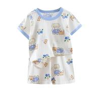 Toddler Cute Animals Dinosaur Print Pajamas Set Baby Boys Short Sleeve Crewneck T Shirt Short Cotton Casual Loungewear Soft Sleepwear Summer (Sky Blue, 12-18 Months)