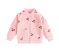 Toddler Fleece Jacket Baby Boys Full-Zip Long Sleeve Fuzzy Jacket Thick Warm Outerwear Cute Coat Girl Winer Clothes Snow Jackets for Girls (Pink, 18-24 Months)