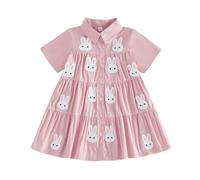 Toddler Girl Easter Dress Bunny/Carrot Embroidery Lapel Collared Button up Swing Princess Dress Spring Summer Clothes Little Girls Easter Dresses (Pink, 18-24 Months)