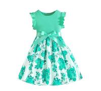 Toddler Girls Dress Baby Girl Summer Dress Ruffle Sleeveless Birthday Party Causal Tutu 2-7Y Warm Dresses for Babies Dresses Toddler Girl 4t