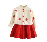 Toddler Girls Dress Set Baby Autumn Winter Strawberry Print Knitted Sweater + Solid Red Skirt Spring Outfits (Red, 18-24 Months)