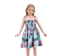 Toddler Girl's Floral Tropical Print Sleeveless Ruffle Hem A Line Flared Dress 1st Birthday Dress 4t Holiday Dress